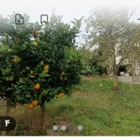 فروش-ویلا-باغ-1000-متر-نوشهر-بلوار-خیریان-خ-7تیر