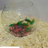 فروش انواع تنگ ماهی قرمز به صورت عمده|ماهی|قم, یزدانشهر|دیوار