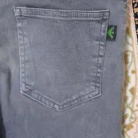 شلوار|لباس|سرخس, |دیوار