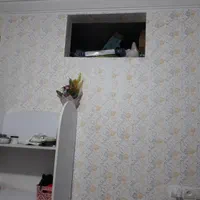 رنگ کاری نقاشی ساختمان طرح کاغذ دیواری با رنگ|خدمات پیشه و مهارت|کاشان, پشت شهربانی|دیوار