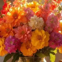 نظافت منزل و نگهداری سالمند خانم