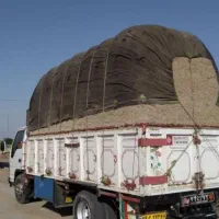 کاه گندم و کاه نیشکر تحویلی دامداران چهارمحال