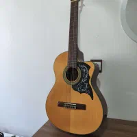 گیتار حرفه ای آریا ak30