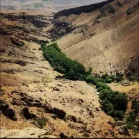 1800-متر-زمین-در-رند