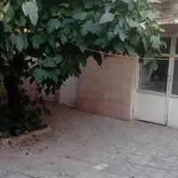 خونه ویلایی دربست و مستقل|اجارهٔ خانه و ویلا|تهران, امام زاده حسن|دیوار