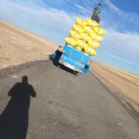 خرید فروش کاه