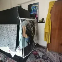 تخت دوطبقه|تخت و سرویس خواب|شیراز, کوزه گری|دیوار