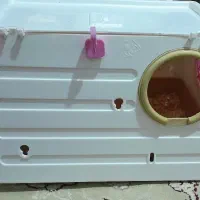 لانه عروس هلندی