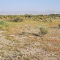 فروش زمین باغی رودان