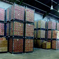 سردخانه تخصصی خرما محافظ طعم و تازگی خرمای شما|ماشینآلات صنعتی|بم, |دیوار