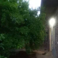 اجاره خانه ویلایی ماهان|اجارهٔ خانه و ویلا|ماهان, |دیوار