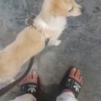 وقت نکردن