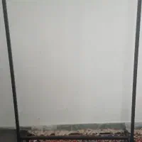 رگال