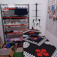 بدلیجات وسایل تزینی|بدلیجات|صحنه, |دیوار