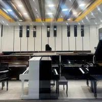 پیانو دیجیتال یاماها سری P|پیانو، کیبورد، آکاردئون|یزد, |دیوار