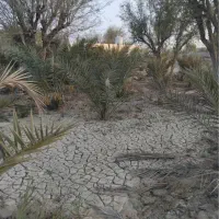 فروش خانه باغ زیرانگ|فروش خانه و ویلا|قشم, |دیوار