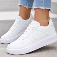 دنیای کتونی