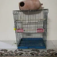 فروش فوری قفس پرتده