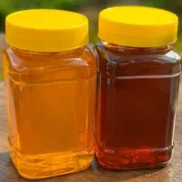 عسل طبیعی ارسال رایگان فقط 490 تومن