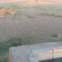 زمین کشاورزی.|فروش دفتر صنعتی، کشاورزی، تجاری|هریس, |دیوار