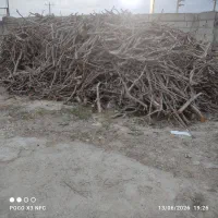 خریدار چوب با بالاترین قیمت