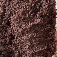 کوکوپیت هندی|گل و گیاه طبیعی|تهران, ائمه اطهار|دیوار