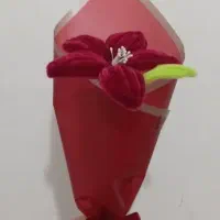 گل همه رنگی روز دختر ولنتاین