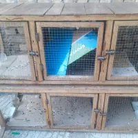 قفس فروشی