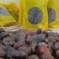 بریمی آجیلی