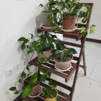 استند چوبی سه طبقه