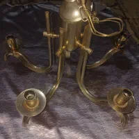 لوستربرنزی