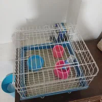 قفس پرنده