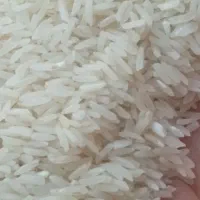 برنج صدر هاشمی|خوردنی و آشامیدنی|تبریز, |دیوار