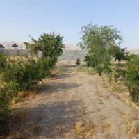 باغ  فروشی جلال آباد (علی آباد) زیر قیمت کارشناسی|فروش زمین و ملک کلنگی|نجف‌آباد, حومه نجف آباد|دیوار