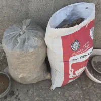 کود کبوتر