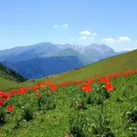 سفر کاروانی  به آبگرم سرعین اردبیل دوروزه|تور و چارتر|رشت, آب و برق|دیوار