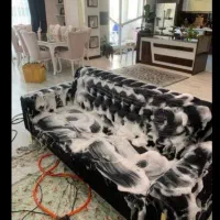 مبل شویی سعادت|خدمات نظافت|محمدیه-قزوین, |دیوار