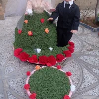 سبزه|خدمات پذیرایی، مراسم|بروجرد, |دیوار