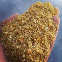 دان مرغ اردک غاز بوقلمون بلدرچین جوجه خوراک دام