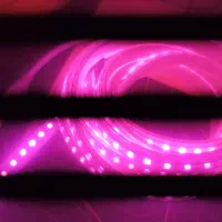 ریسه 5 متری رنگ بنفش|ریسه و چراغ تزئینی|کرمانشاه, |دیوار