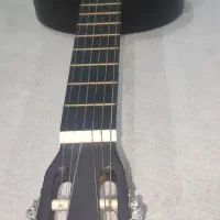 معاوضه با سگ ژرمن یا هاسکی