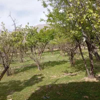 زمین-کوهپایه