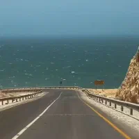 مغازه-تجاری-شهر-قشم