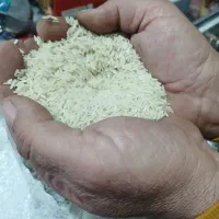 برنج طارم محلی درجه یک به شرط پخت|خوردنی و آشامیدنی|کوهدشت, |دیوار