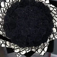 گل مصنوعی|گل مصنوعی|پاکدشت, پاکدشت (مامازند)|دیوار