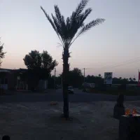 مغازه|اجارهٔ مغازه و غرفه|میناب, |دیوار