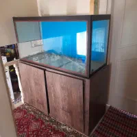 آکواریوم با پایه فلزی