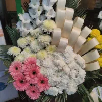 انواع تاج گل ماشین عروس سبد گل دست گل|گل و گیاه طبیعی|اسلامشهر, شهرک مهدیه|دیوار