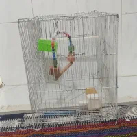 قفس با وسایل