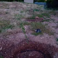 فروش-باغ